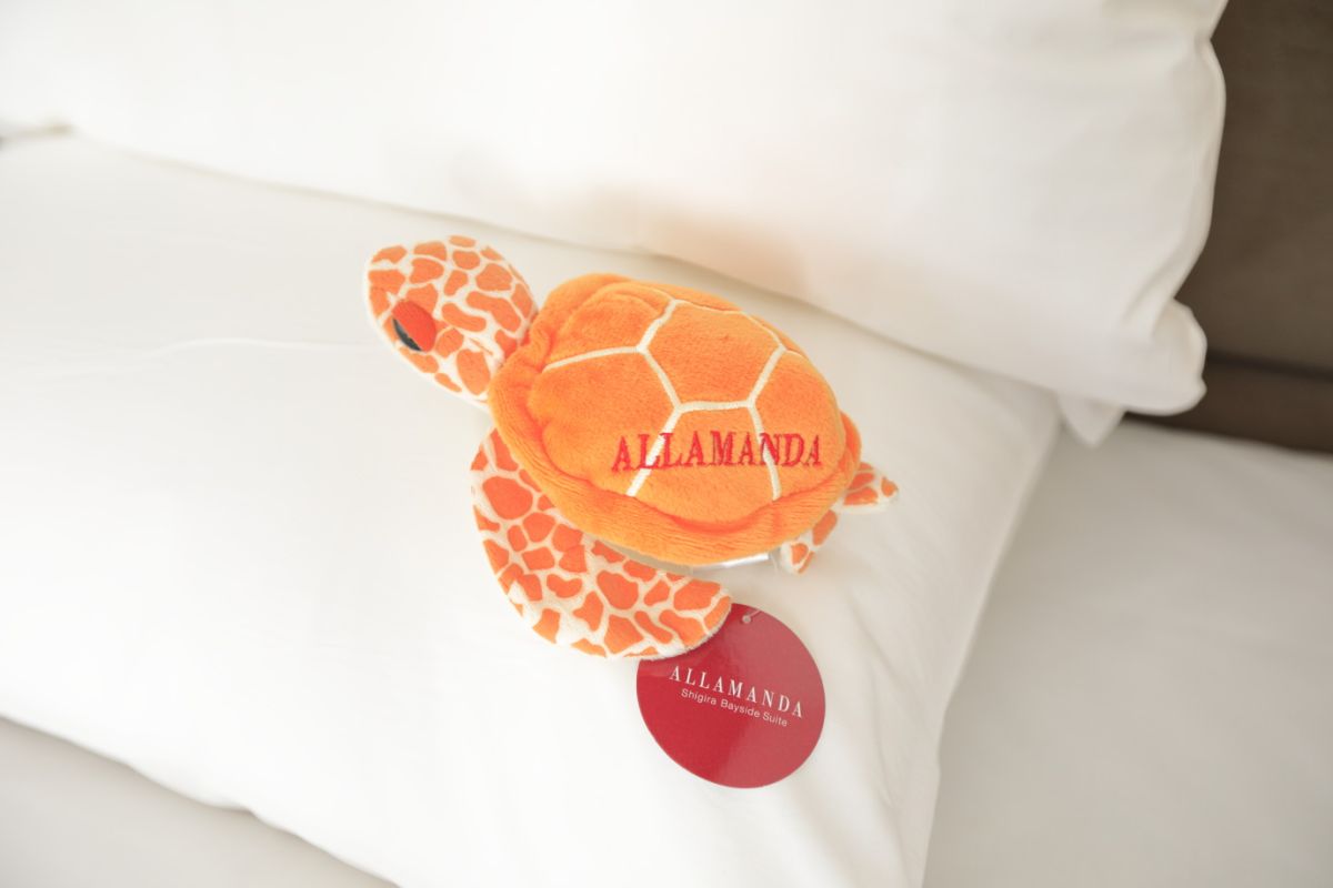 オリジナルのウミガメぬいぐるみは全3。コレクションするリピーターも