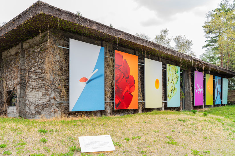 アートフォト作品と自然との調和によって生まれる世界観を堪能して