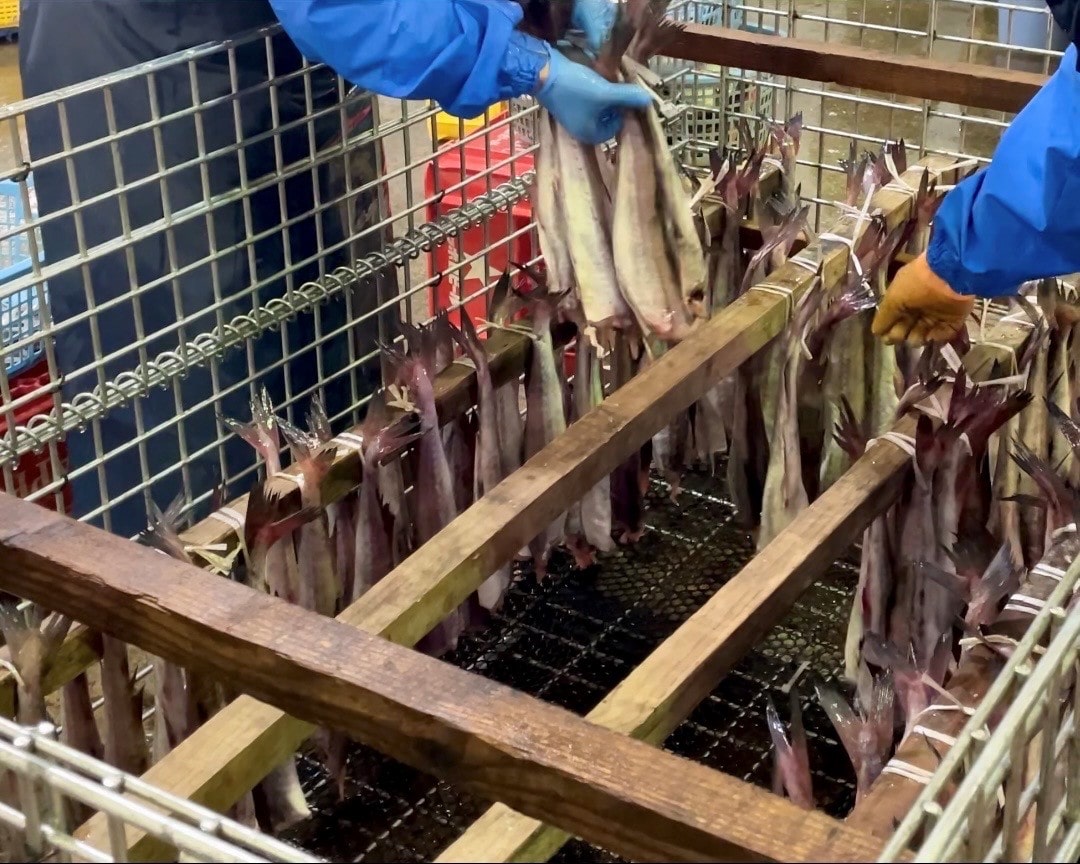 味付けはせず、浜風による自然の潮味で仕上げる