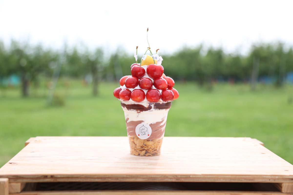 「季節のフルーツパフェ」800円〜（※フルーツや値段はシーズンによって変動。6月のサクランボは1000円）