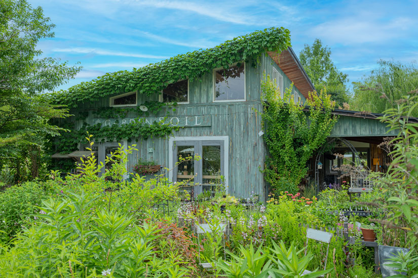 緑に包まれた「ガーデンソイル」の建物では、ガーデニンググッズや苗の販売も