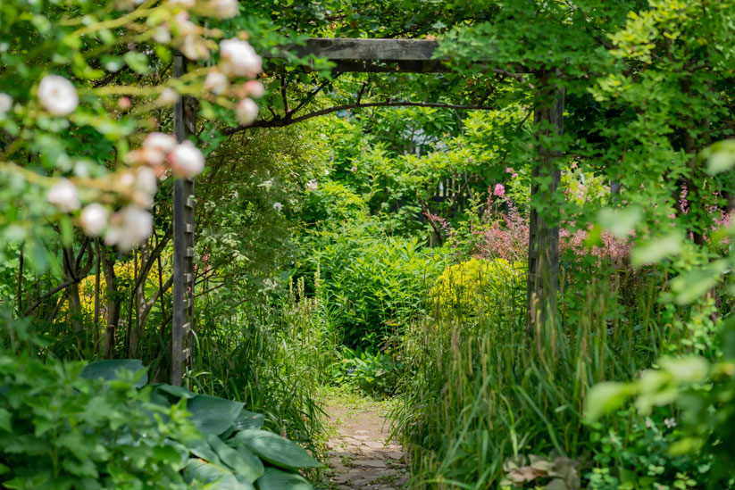 初夏のガーデン。信州の自然の中で自生した植物も多いとか