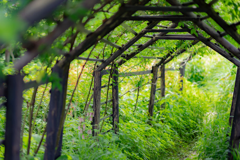 広いガーデンを散策して、好きな場所を見つけよう