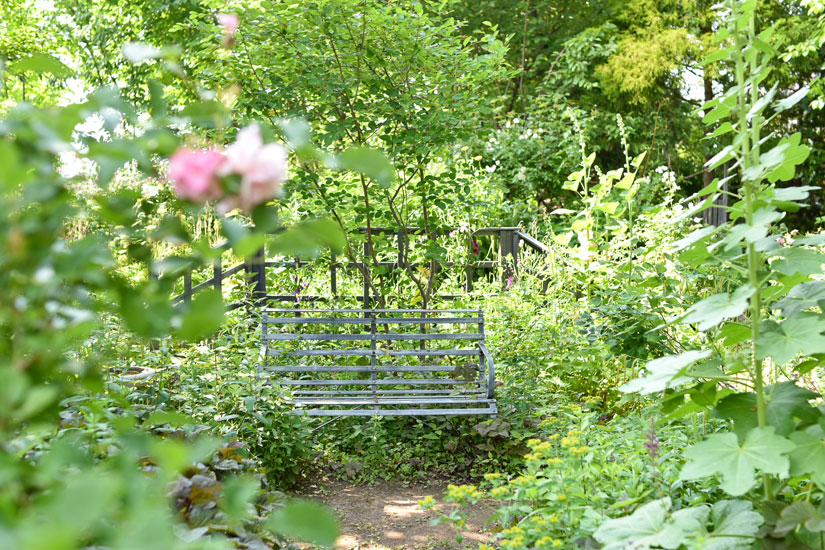 緑の中のベンチでのんびりくつろいで