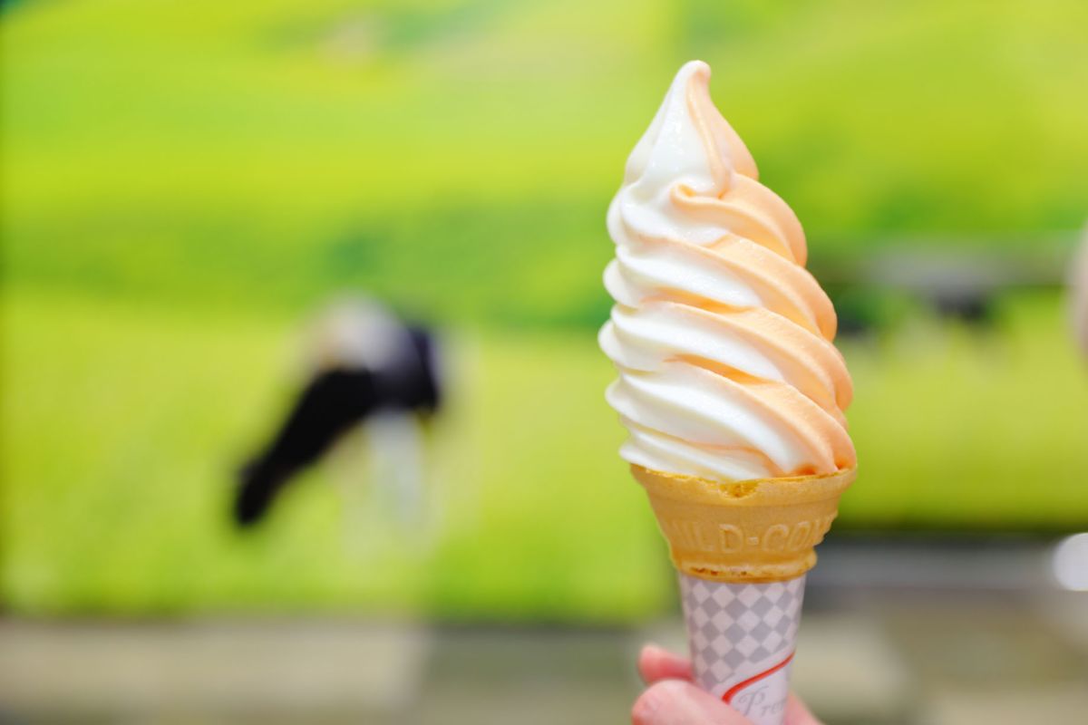 北海道どさんこプラザあべのハルカス店