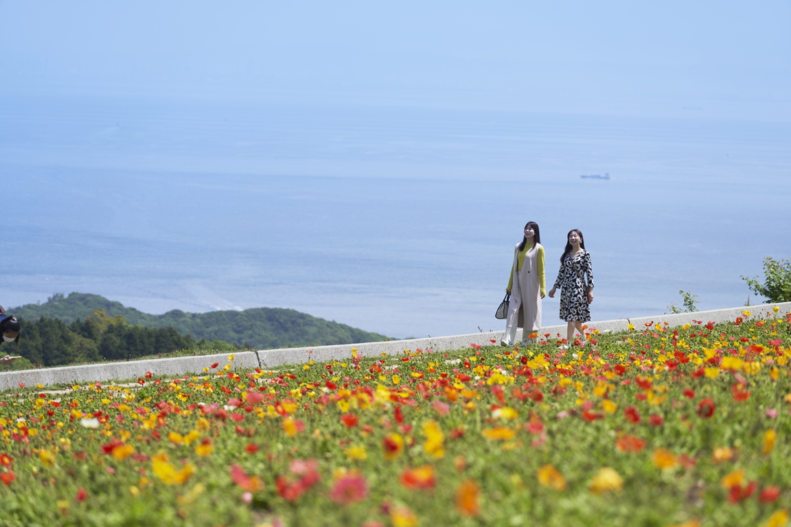 兵庫県立公園あわじ花さじき