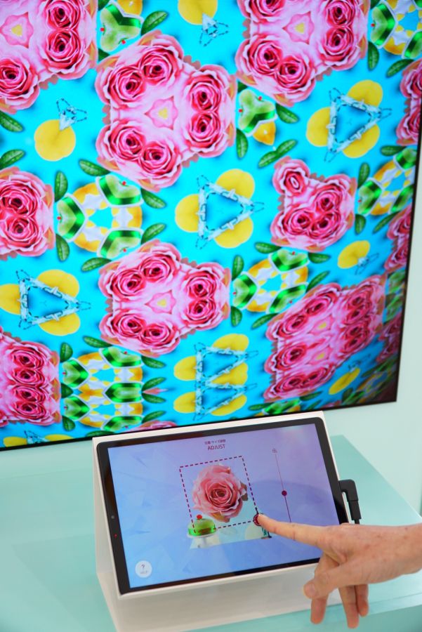 バラは横浜市の花