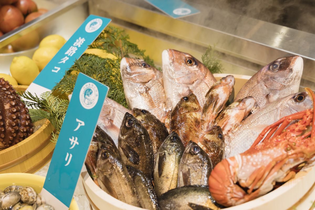 クラフトサーカス