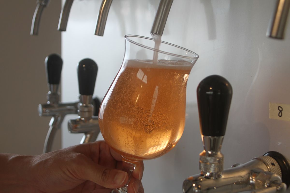 ビールが注がれている様子を見るとワクワクとした気分に