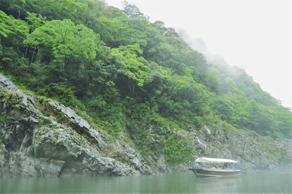 秘境感満点の霧けぶる渓谷。夏は新緑、秋は紅葉が楽しめます