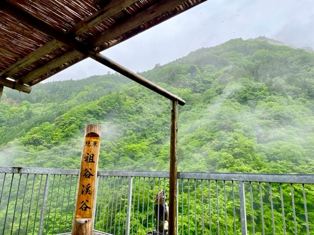 渓谷の眺めが楽しめるテラス席もある