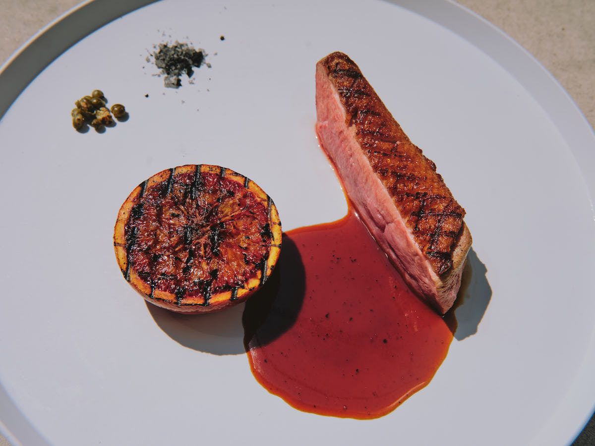 BIRD HOTEL -GARDEN HOUSE-