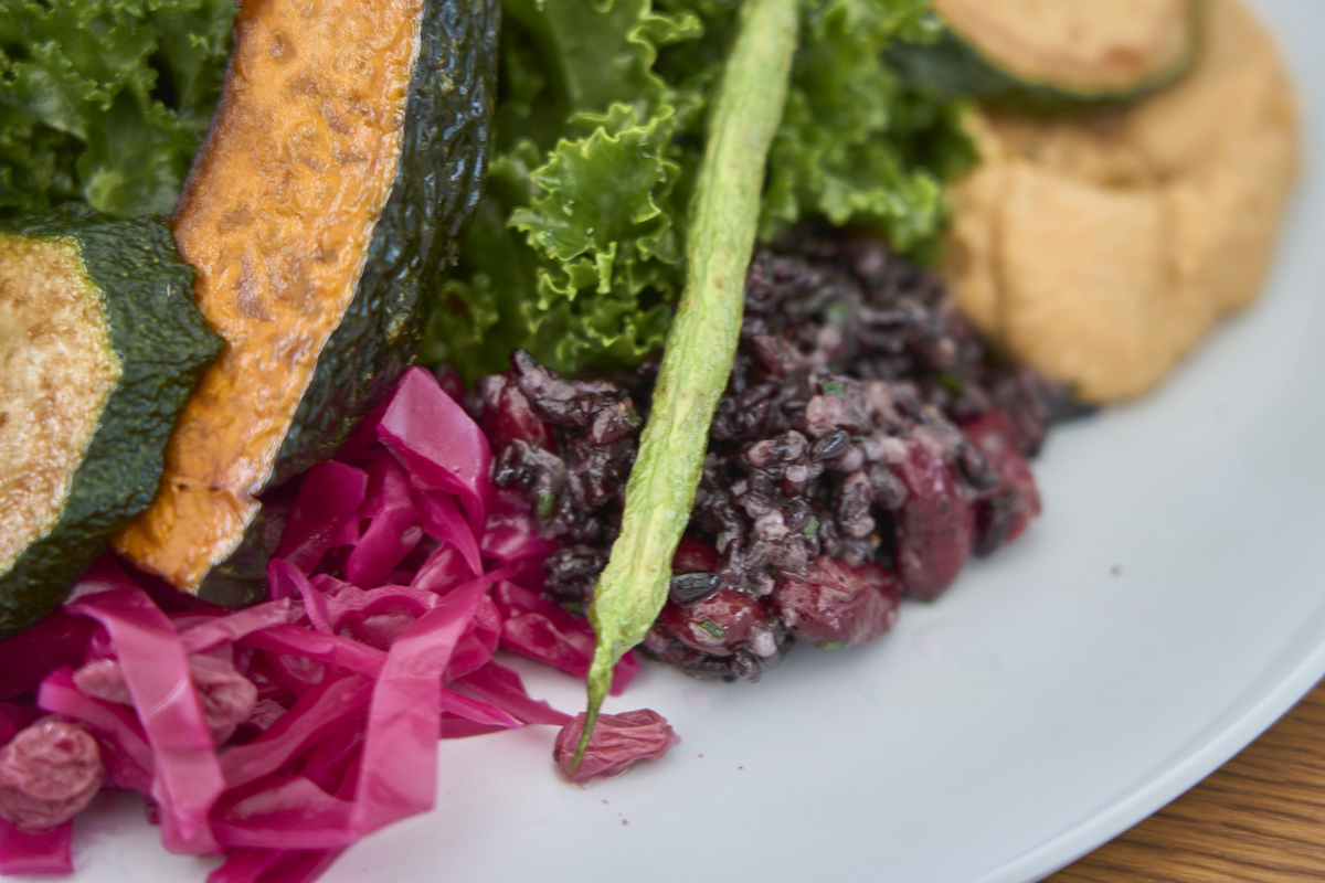 BIRD HOTEL -GARDEN HOUSE-