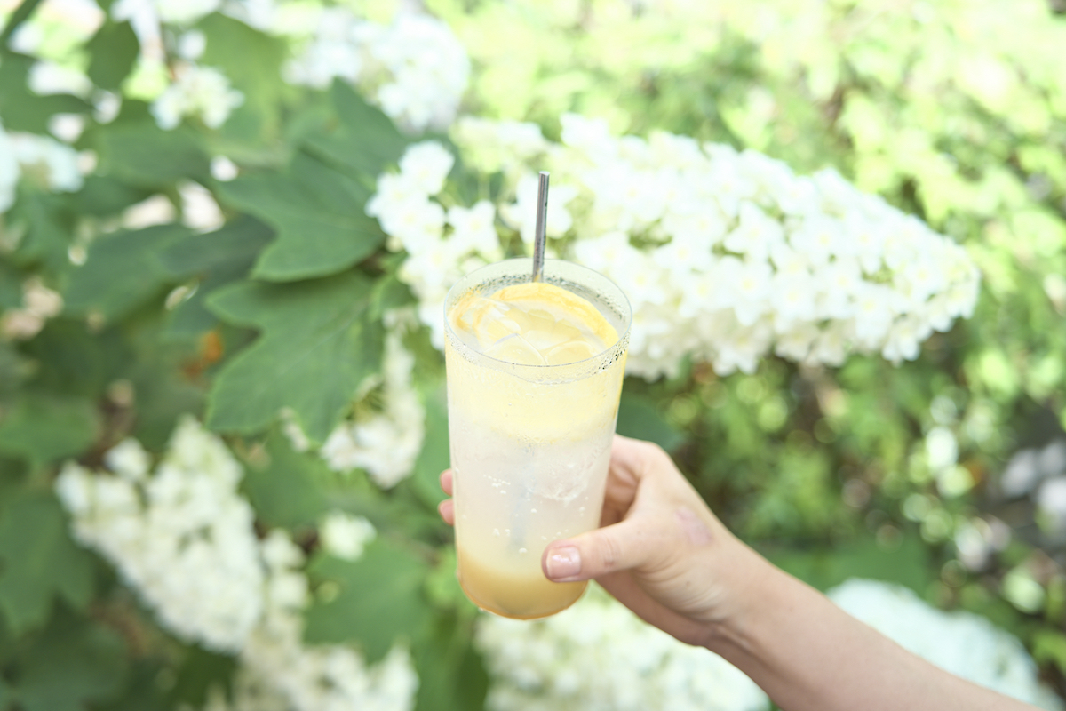 BIRD HOTEL -GARDEN HOUSE-