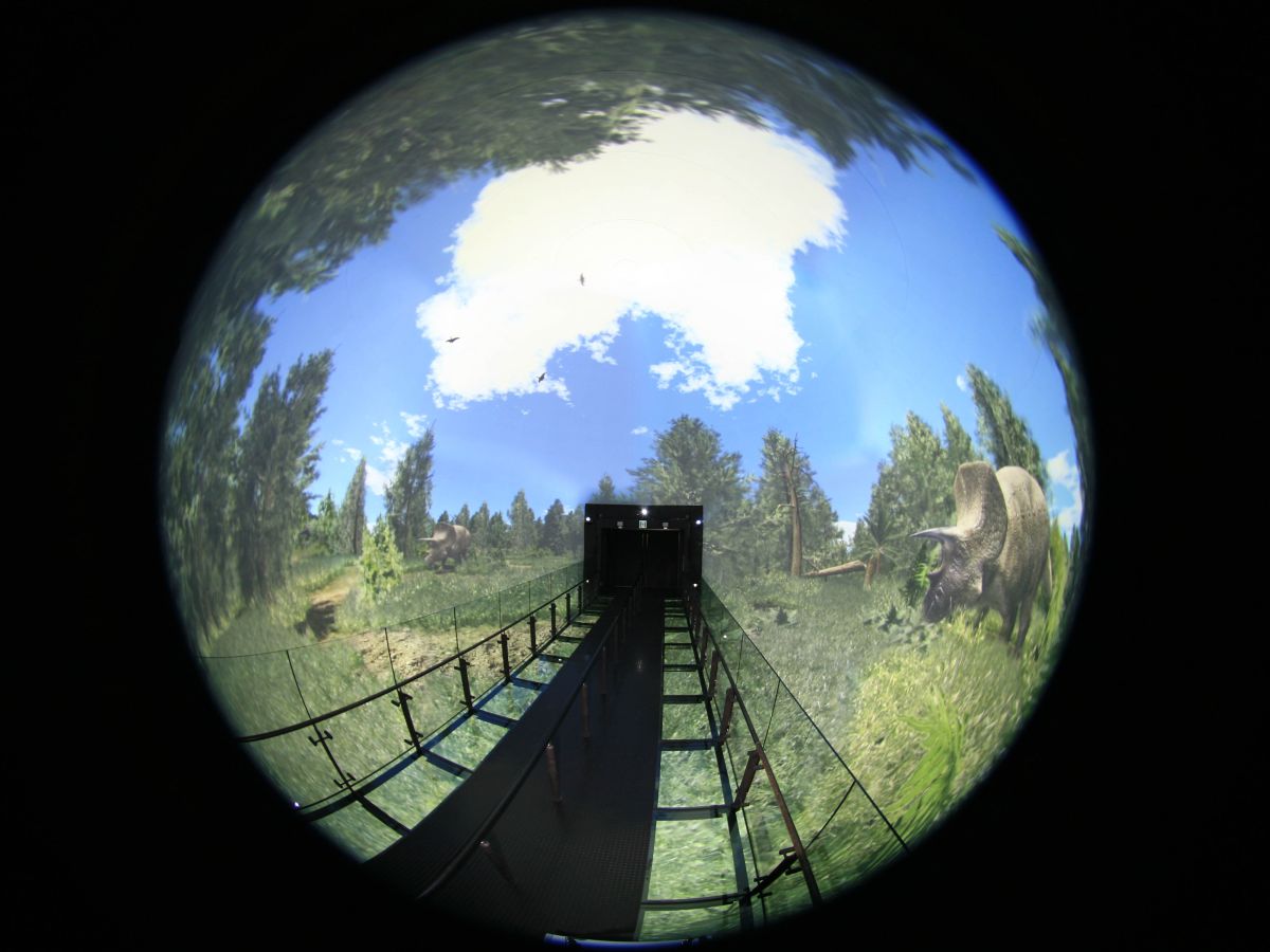 画像提供：国立科学博物館