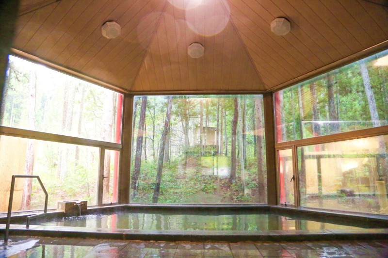 日帰り入浴も可能。福井県民は500円、県外の人は600円。小人は一律150円。定休日：水曜