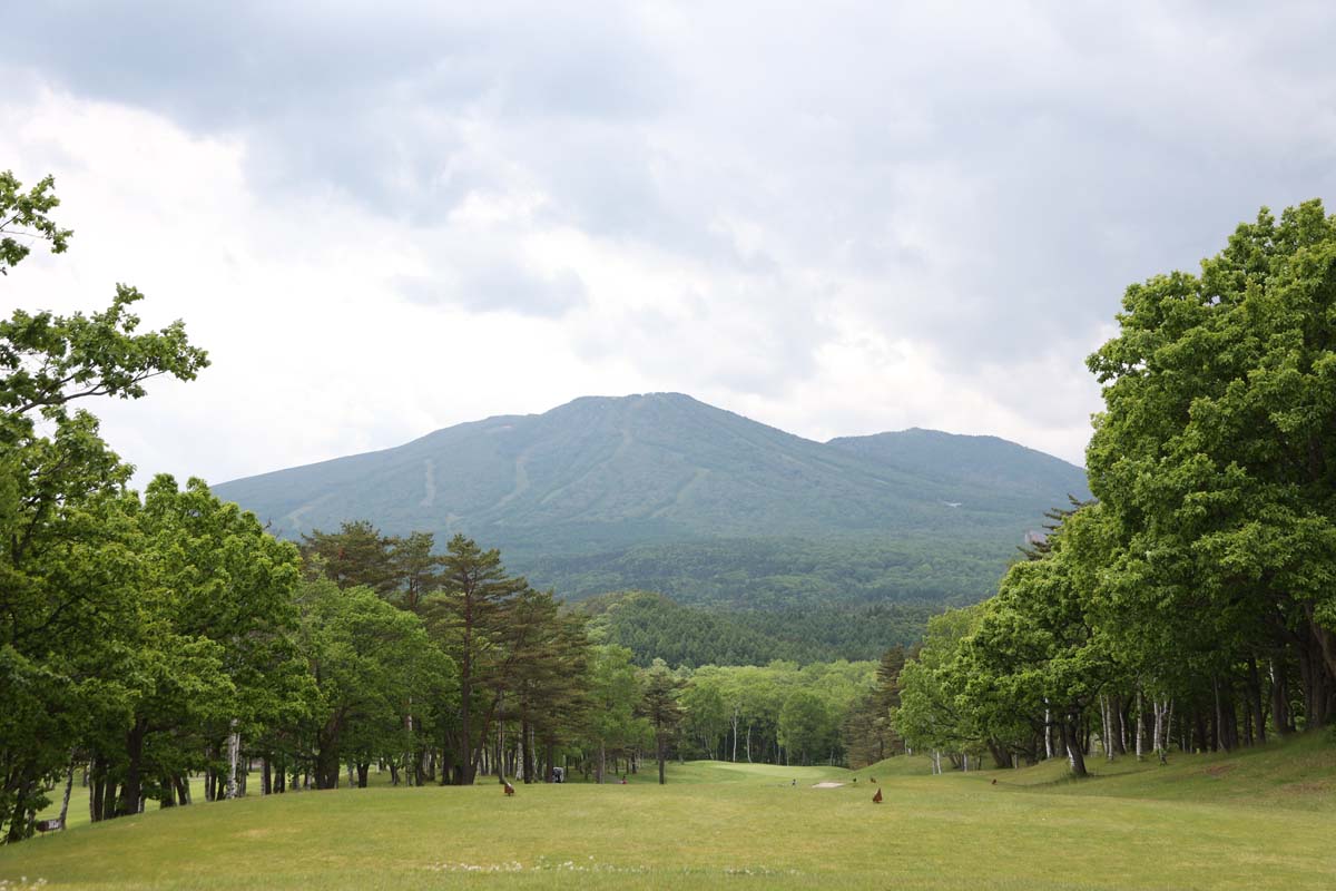 取材の6月は高原の風が気持ちよい季節。写真は安比高原ゴルフクラブからの風景
