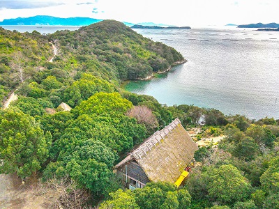 上空からの様子