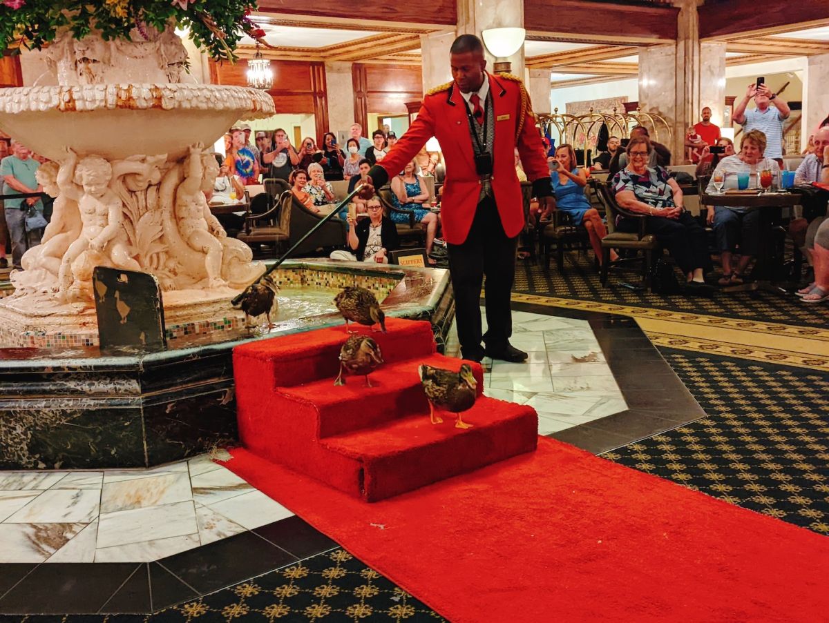 ダックマーチは毎日11時・17時の2回実施