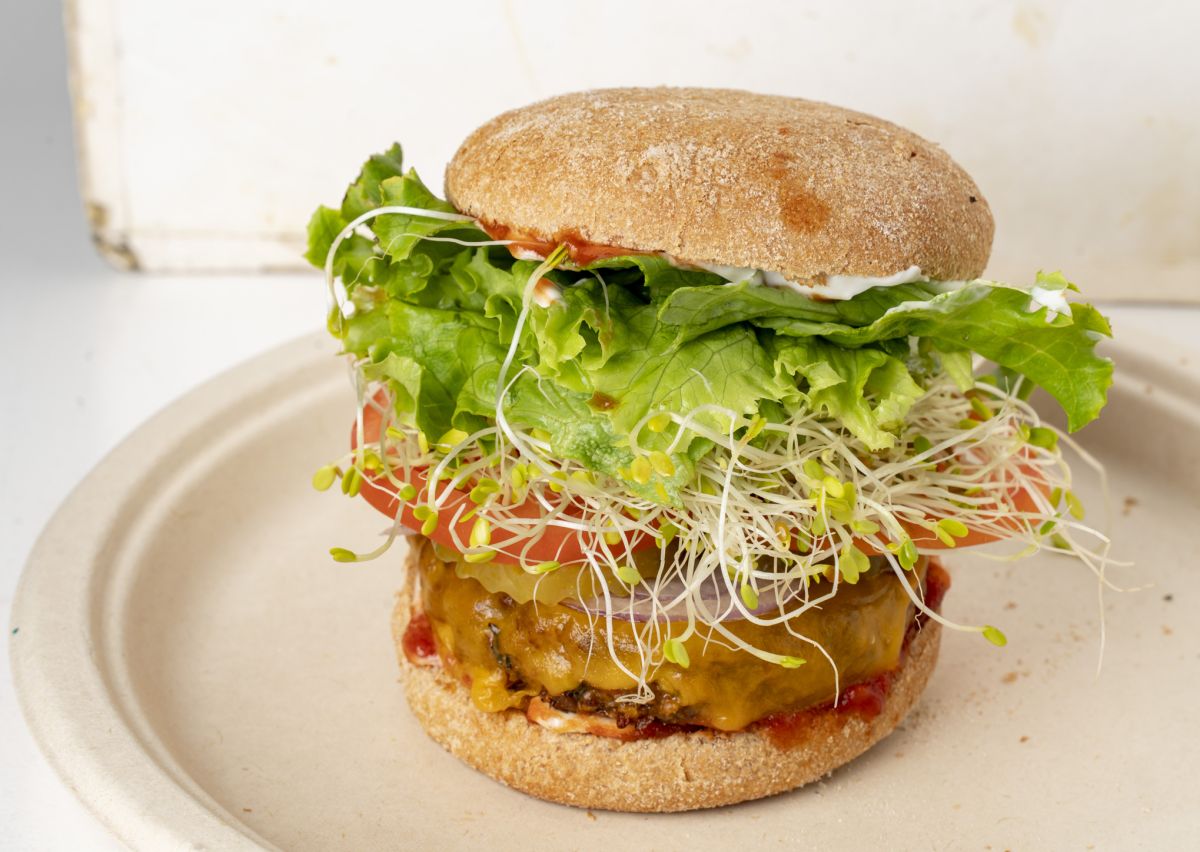 「ダウントゥアースバーガー」$12.99