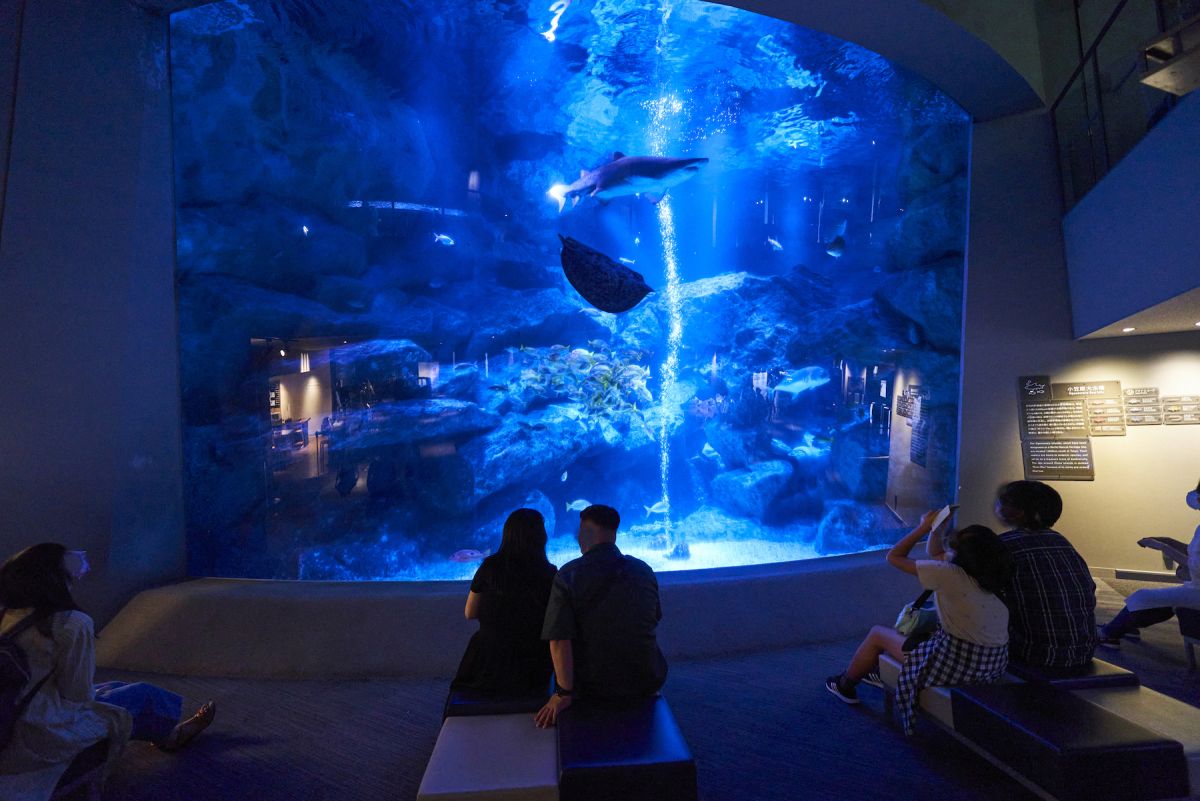 すみだ水族館