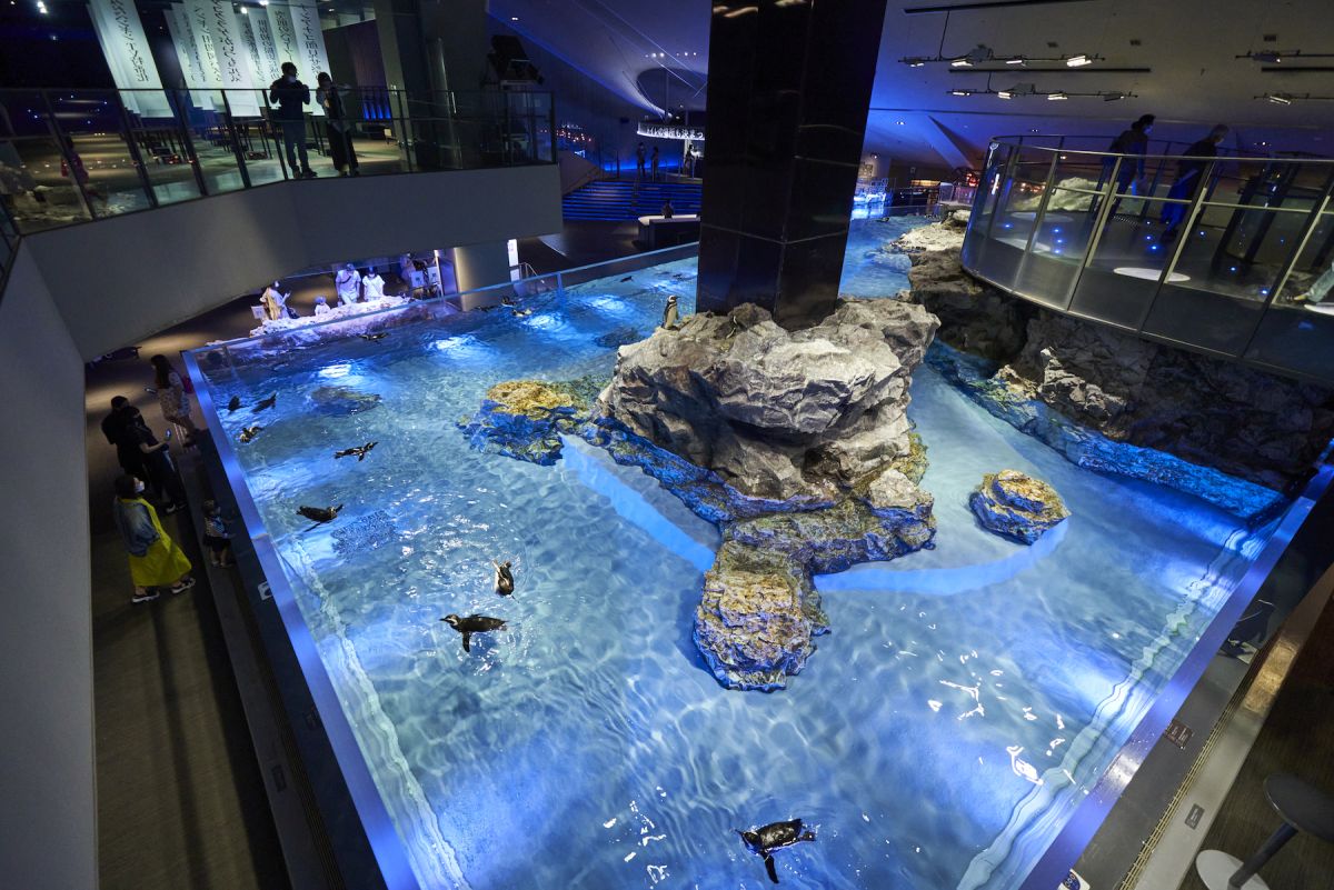 すみだ水族館