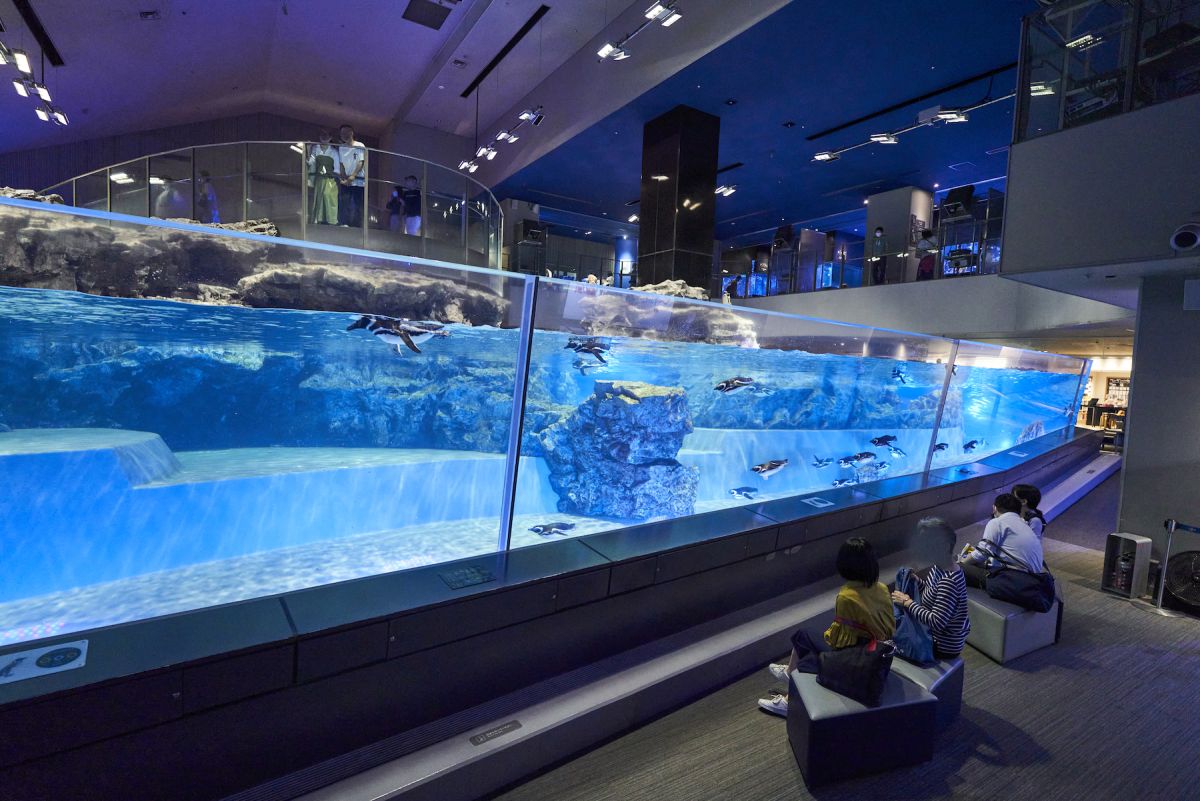 すみだ水族館