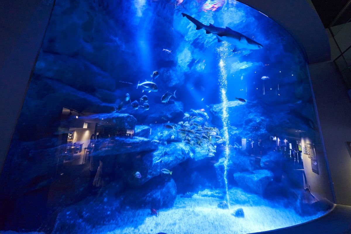 すみだ水族館