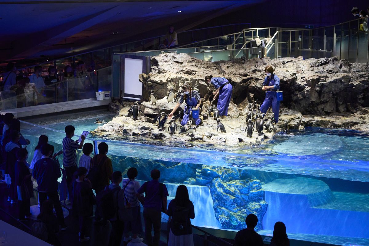 すみだ水族館