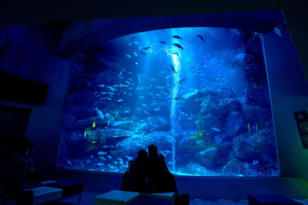 すみだ水族館