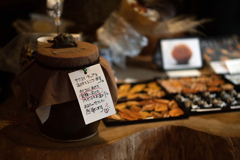 動物のカメの置物が目印として置かれた募金箱（写真左）