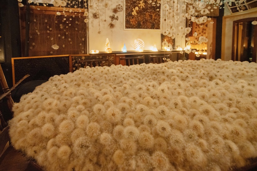 ふわふわの綿毛がテーブルを埋め尽くす