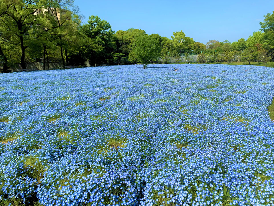 長居植物園
