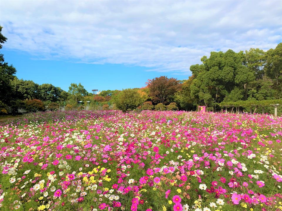 長居植物園