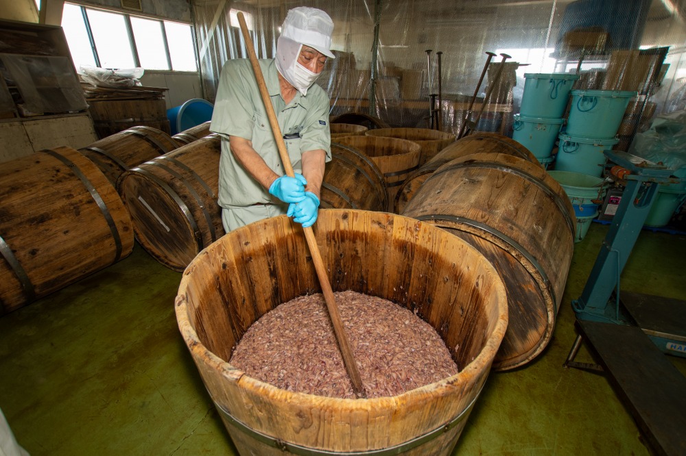 道南おせっかい横丁 -地元民の推し土産-　小田島水産