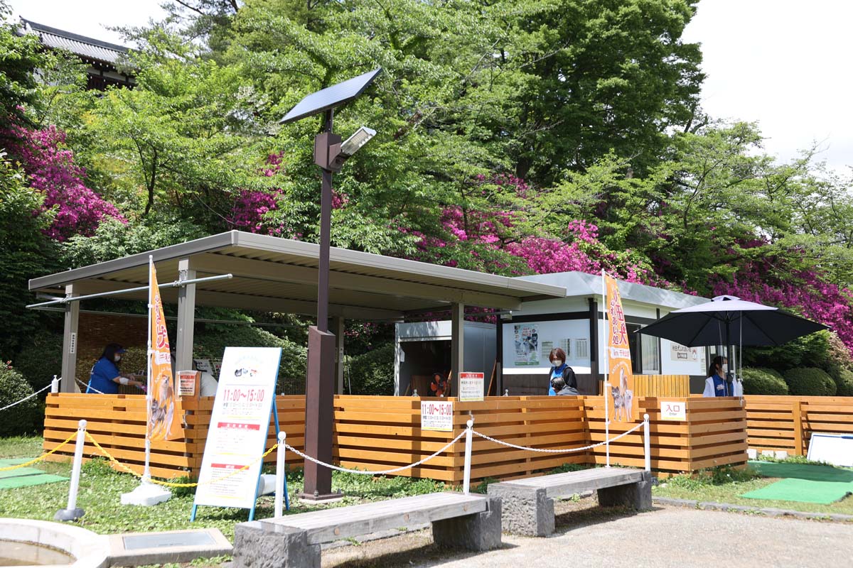 千秋公園の一角にある秋田犬ふれあい処