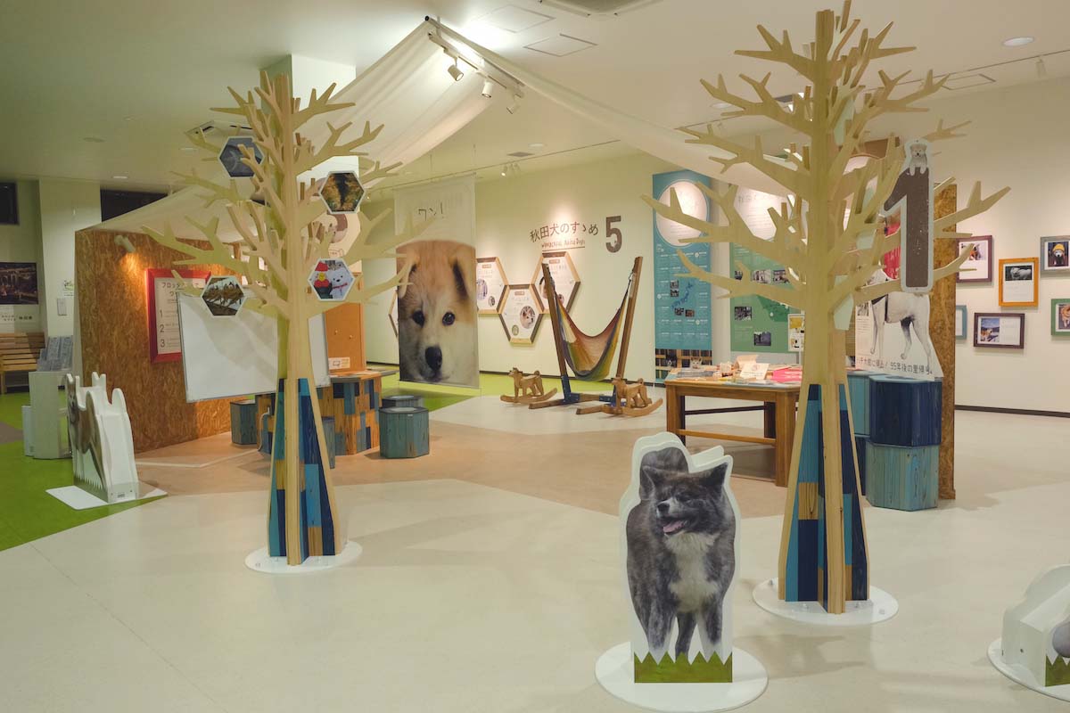 パネルなどで分かりやすく秋田犬について学べる