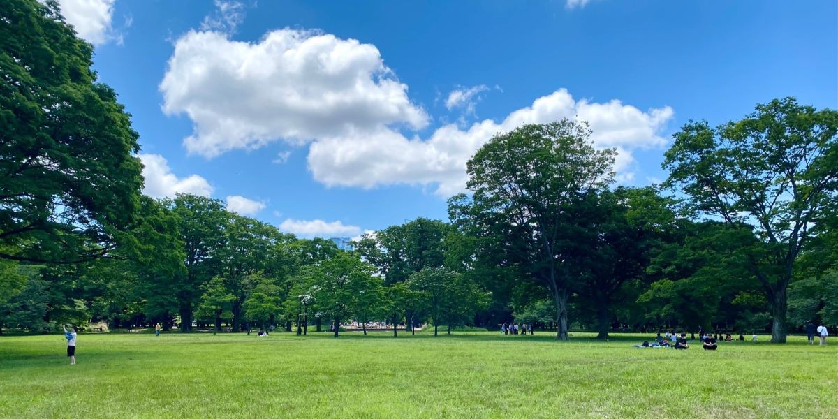 【代々木公園のみどころ徹底紹介！】都内からのアクセス抜群な公園で豊かな自然を楽しもう！
