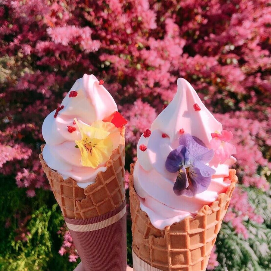 「フラワーソフト」1個550円 ※12・1月は販売休止予定