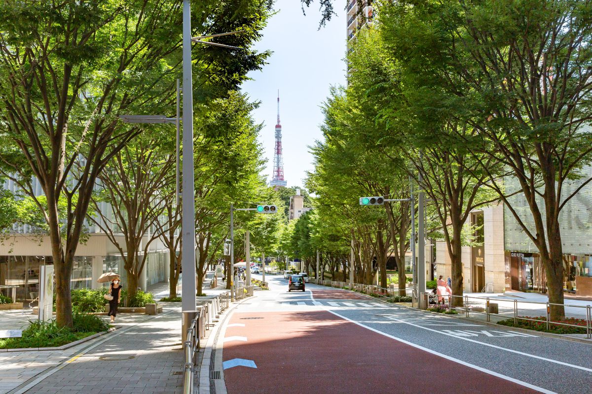 六本木けやき坂通り