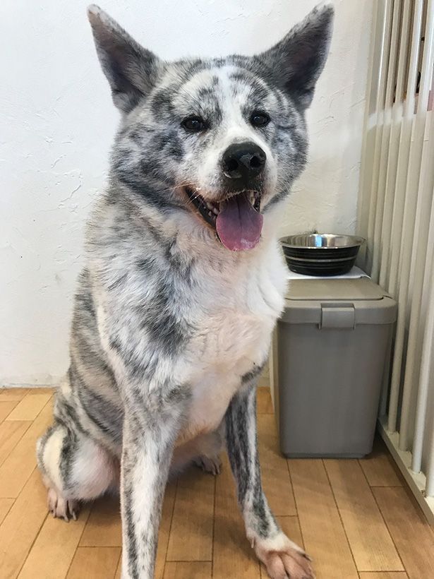 天真爛漫なさくらは元気いっぱい！