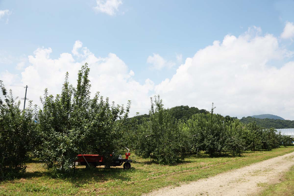 まるせい果樹園