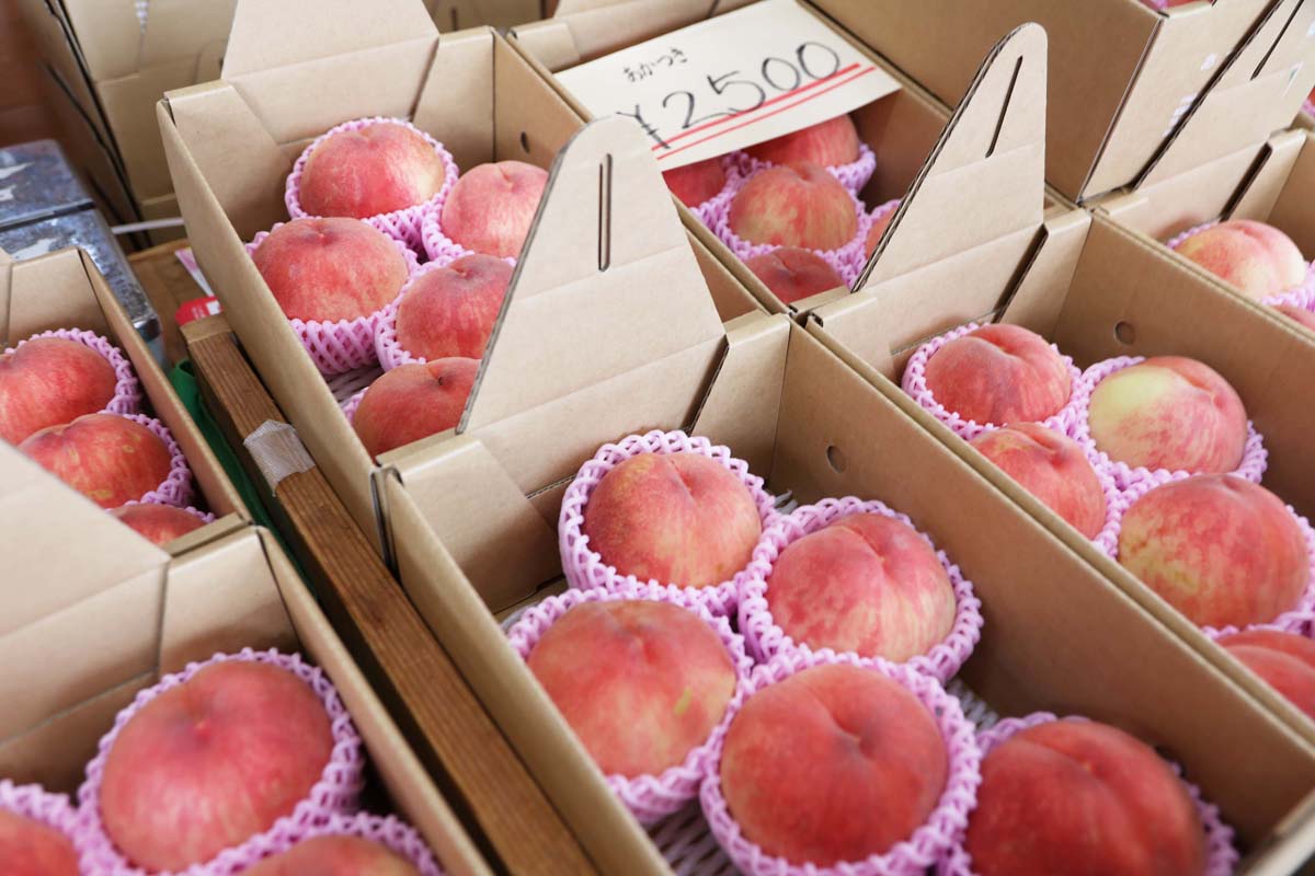 自宅用はもちろん、贈答品としても喜ばれる桃は見た目がとってもキレイ♪ 
