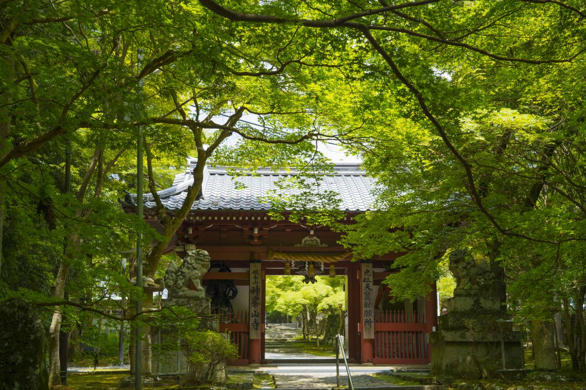 神峯山寺