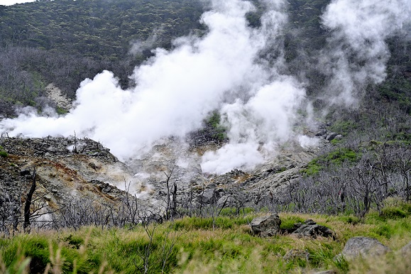大涌谷自然研究路の景色