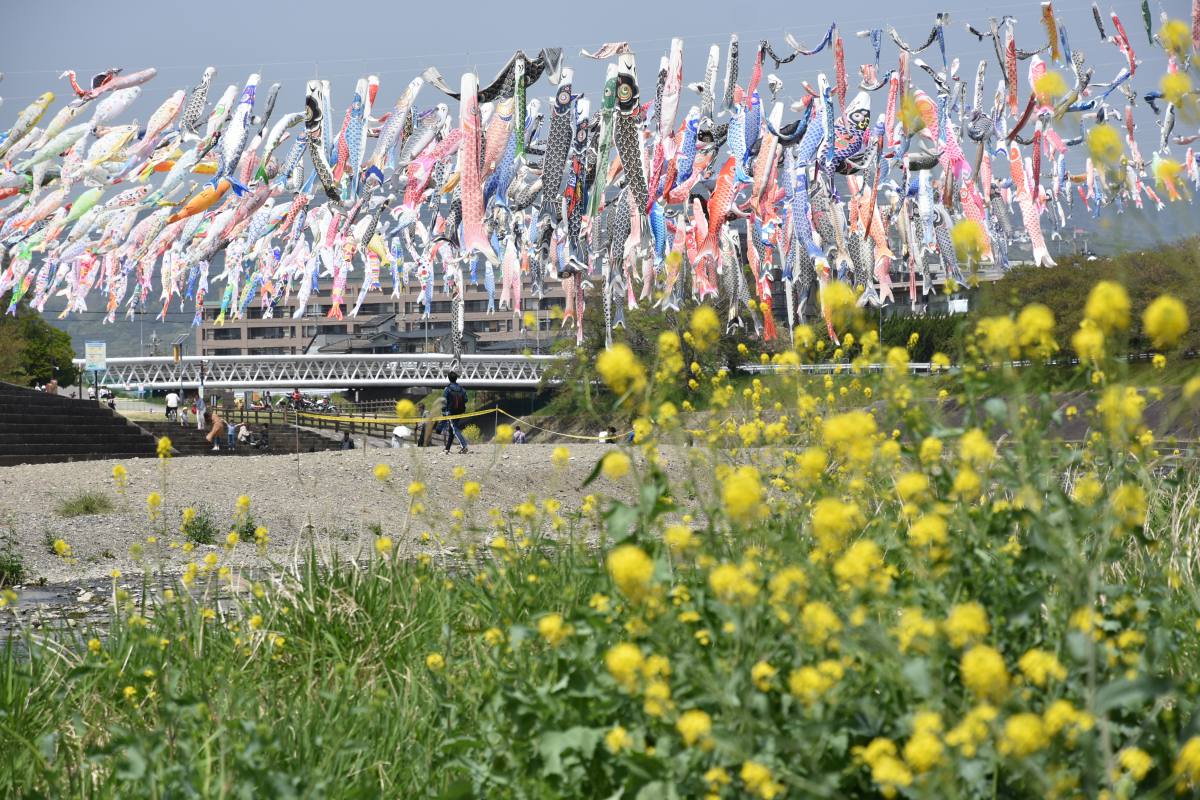 こいのぼりフェスタ