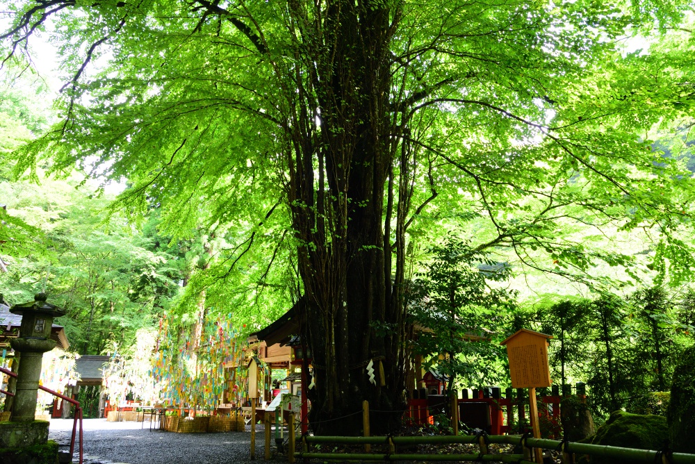貴船神社 境内