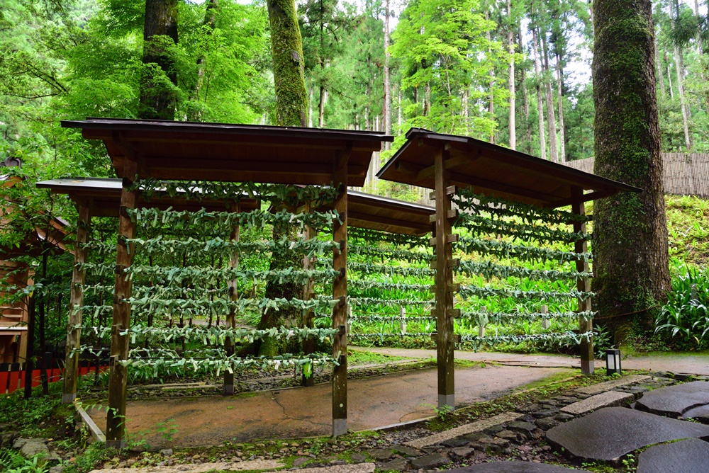 貴船神社の結び処