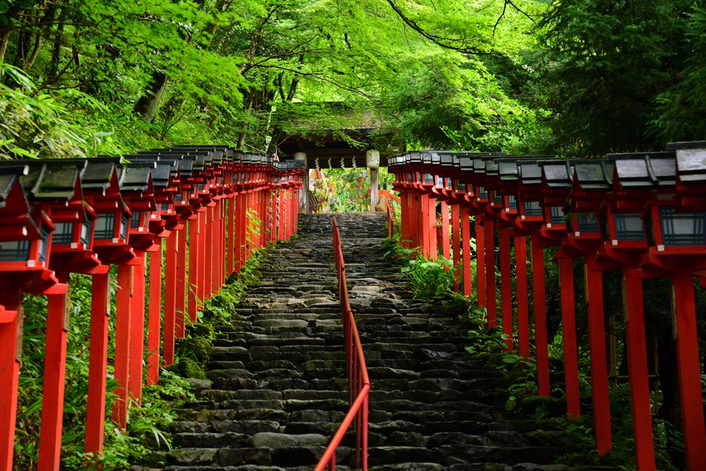 貴船神社の赤い鳥居が並ぶ参道