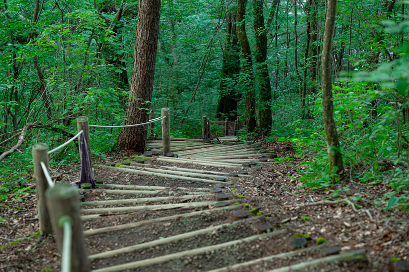 トレッキングコースはアップダウンの激しいエリアもあるので、トレッキング用の準備をおすすめ
